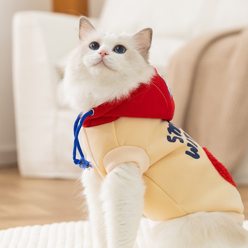 Cat Hoodie Winter Sherpa Fleec – Sherpa Hoodie Fleece recenzja i cena